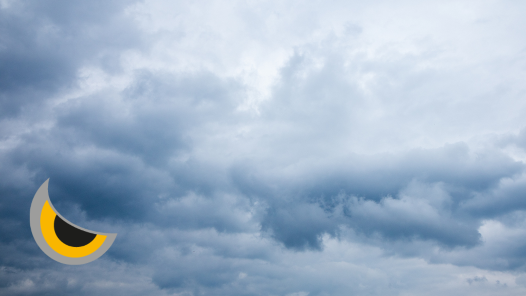 Con la llegada del frío y las lluvias, aparecen las ratas y ratones 1