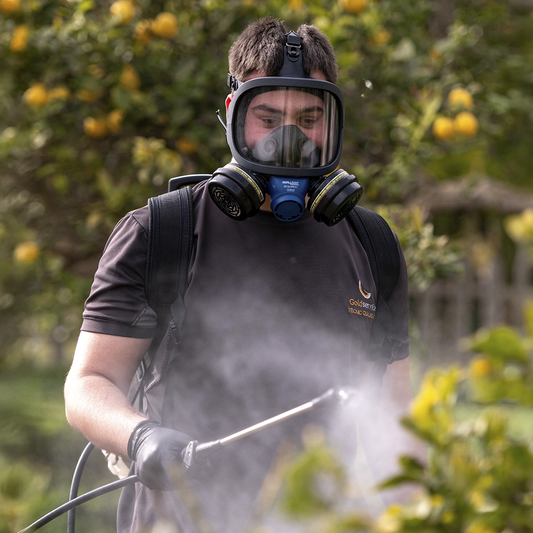 Control de plagas en villas de Ibiza