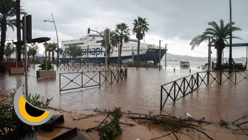 Plagas post-DANA Ibiza - Goldservice saneamiento urgente