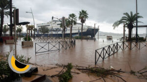 Plagas post-DANA Ibiza - Goldservice saneamiento urgente