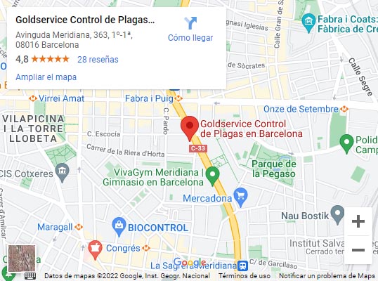 mapa control plagas barcelona