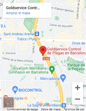Prevenir y eliminar cucarachas en Barcelona 2